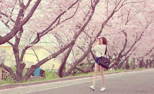 孤獨(dú)陪葬我 孤獨(dú)陪葬我