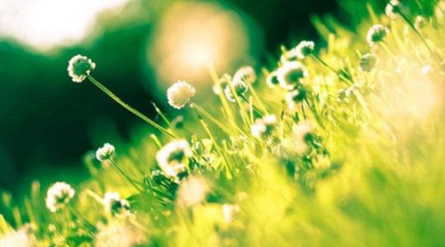 幼兒園反思考試祝福語