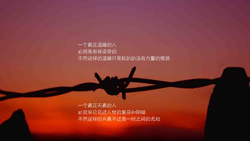送花祝福語