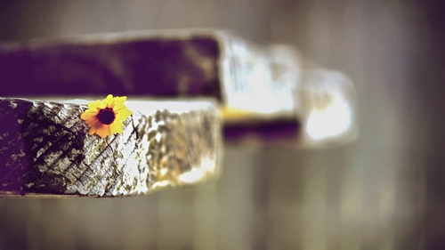 違章扣分手機(jī)收不到短信 違章扣分手機(jī)收不到短信