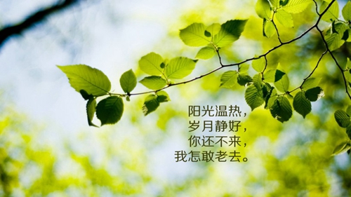 十月情話給愛人的