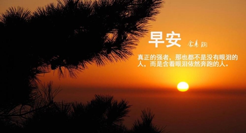 《祝長輩發財的祝福語》精選10條