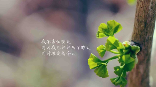 《給老師的賀卡英文祝福的話怎么寫》精選25句