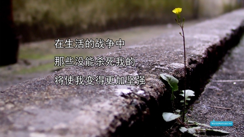 親戚生日文案短句干凈（精選25條）