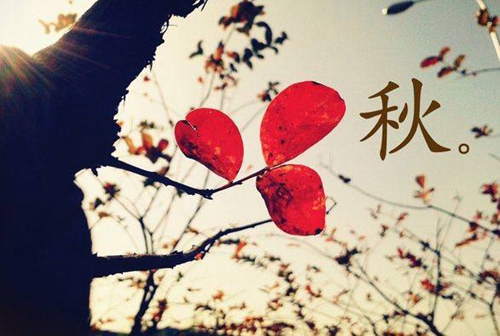 感謝的祝福語