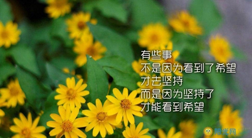 形容轉(zhuǎn)身的新年祝福語(yǔ)
