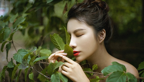 繁殖繁殖