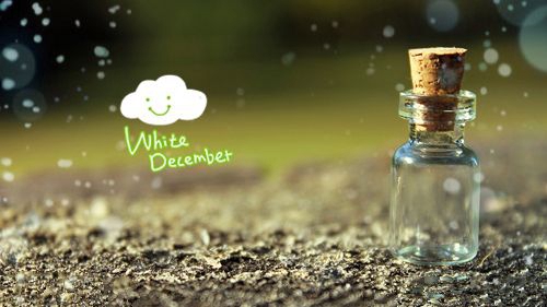 新年祝福短信大全簡短牛年