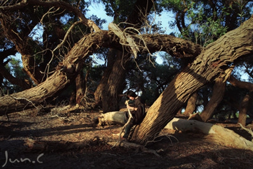 謝謝老師祝福的唯美句子 謝謝老師祝福的唯美句子