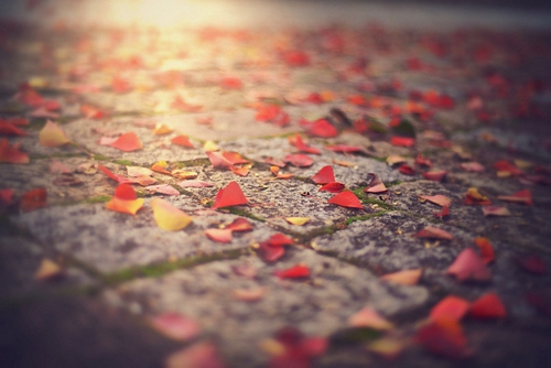 送給全家新婚祝福語