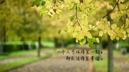 兒子立正跟娘走i