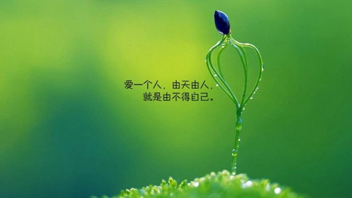 祝福生日快樂的話傷感