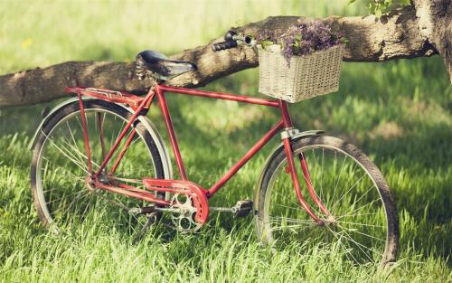 祝福社區(qū)的祝福語 祝福社區(qū)的祝福語