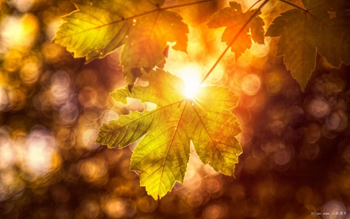 四川理工學(xué)院祝福短信 四川理工學(xué)院祝福短信