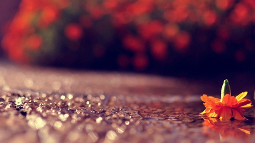 祝福一個人的文案