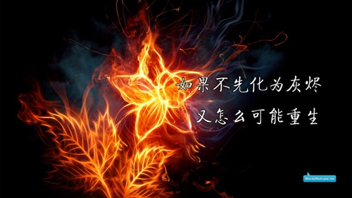 企業發送平安夜祝福語