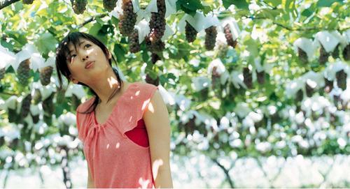 三年同事大冬天結(jié)婚祝福語說說