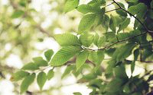 高考經典祝福語送朋友(高考祝福語大全:友情篇)